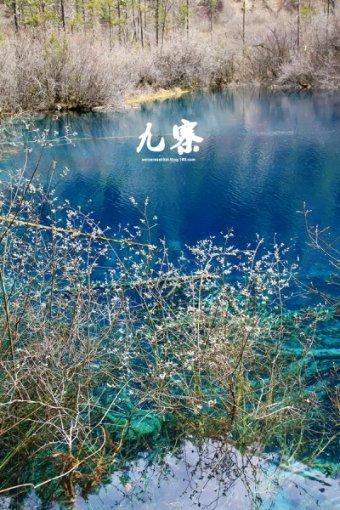 镜之边缘